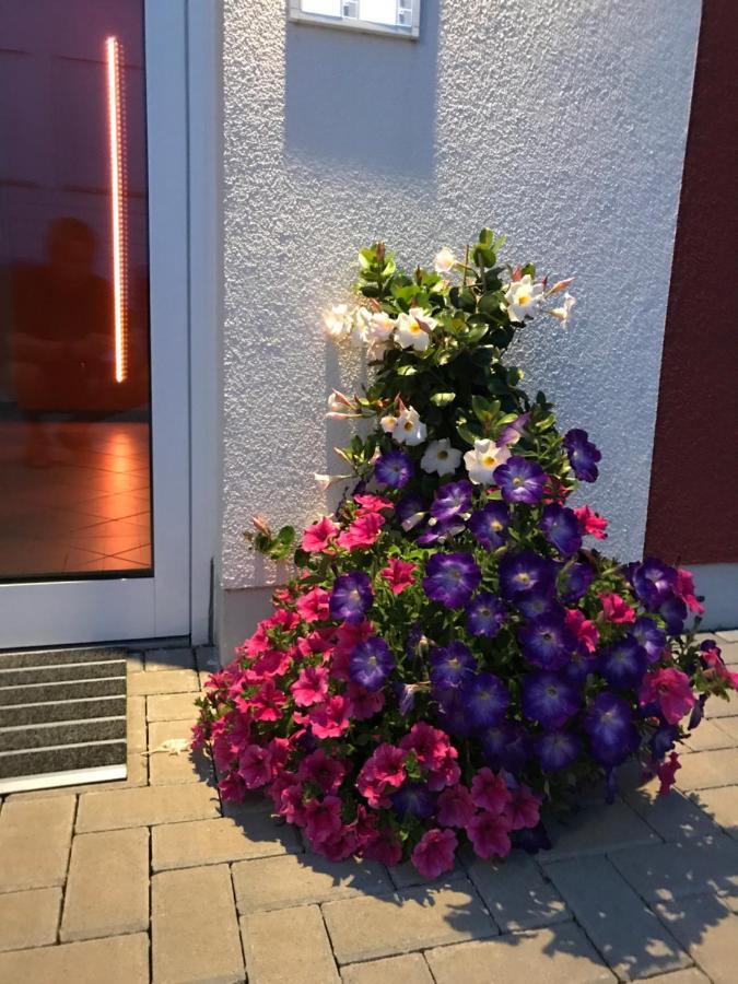Ferienwohnungen Am Feldrain - Gornau Im Erzgebirge Zschopau Екстер'єр фото
